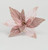 30cm Glitter/Sheer Poinsettia/Clip