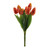 Essential Tulip Bunch - Orange