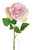 Lydia English Rose Lilac Pink
