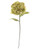 Premier Hydrangea Green 68Cm