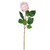 Luna Rose Bud Coral 44Cm