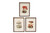 30X40Cm Torn Paper Box Frame