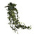 Mini English Ivy Hanging Bush 241 Leaves