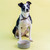 Mc Colour Mix 20Cm Grey Dog Bowl