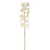 Fiesta Orchid Cream 72Cm