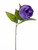 Eternity Peony Stem Purp 60Cm