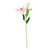 Tintagel Lily Light Pink