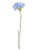 Agapanthus Blue 87Cm