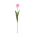 Tulip Pink