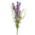 English Heath Wild Flower Grass Purple