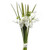 Snowdrop Spring Bundle 19Cm