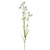 Meadow Delphinium Pale Bl 76Cm