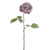 MIA Rose Purple 56Cm