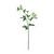Astrantia Flowers Green 50Cm