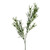 Rosemary Spray 50Cm