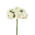 Bunch Rose 6Heads Ivory