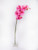 Orchid Phalaenopsis Pink 75Cm