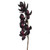 Anna Cymbidium Orchid Plum 88Cm