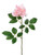 Premium Rose Large Soft Pink