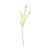 Dancing Orchid Green and Cream