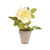 Artificial Rose Open Potted Cream 22 cm 