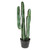 Florida Potted Cactus 68Cm