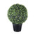 Potted Boxwood Ball 38Cm