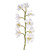 Orchid Cymbidium White 54Cm