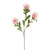 Tintagel Leucospermum Light Pink