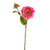 Dolly Zinnia Spray Pink 42Cm