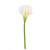 Calla Lily Cream Med Head 66Cm