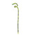 Lucky Bamboo 61Cm