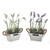 Potted Lavender Flowers Metal Trough 2 Assorted