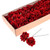 Wired Velvet Rose Red Box 48