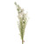 English Heath Flower And Gyp Spray Cream 59Cm