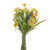 Narcissus Wild Flower Bundle