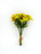 Alstromeria Bundle Yellow