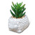 Mini Cement Hedgehog Planter with Succulent 
