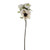 Sophia Anemone Spray 46Cm