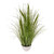 Potted Grass And Green Cattail 84Cm