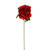 Wired Rose Bud Red Box48