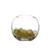 Fishbowl Ball Vase 14Cm