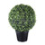 Potted Boxwood Ball 49Cm