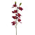 Orchid Cymbidium Lge Red 83Cm