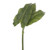 Anthurium Leaf Bundle 33Cm