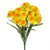 Daffodil Bush Two Tone Yellow