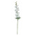 Real Garden Delphinium Spray White