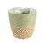 Seagrass And Green  Paper Basket Round 19Cm