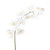 Prestige Orchid White 100Cm