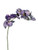 Eternity Orchid Purple 87Cm